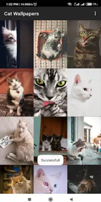 Cat Wallpapers android App screenshot 4